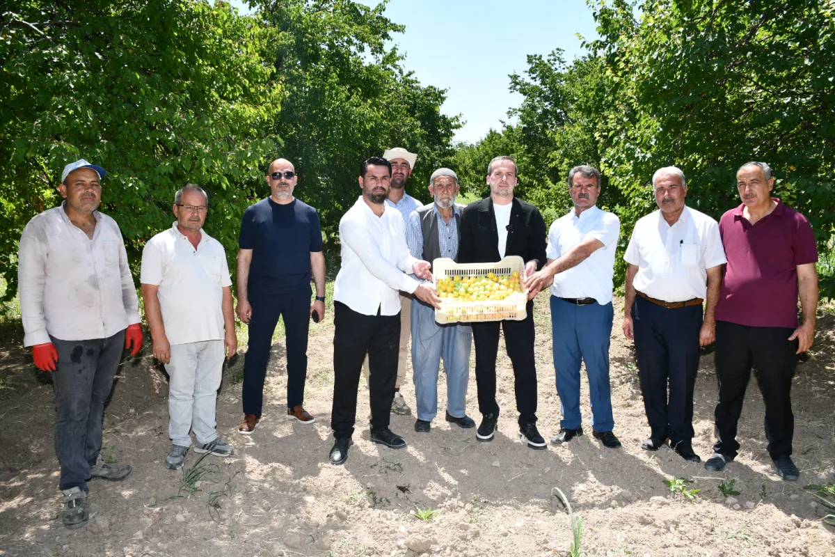 Karademir: "Sarı Kayısı 500, Gün Kurusu 750 TL'nin Altına İnmemeli"