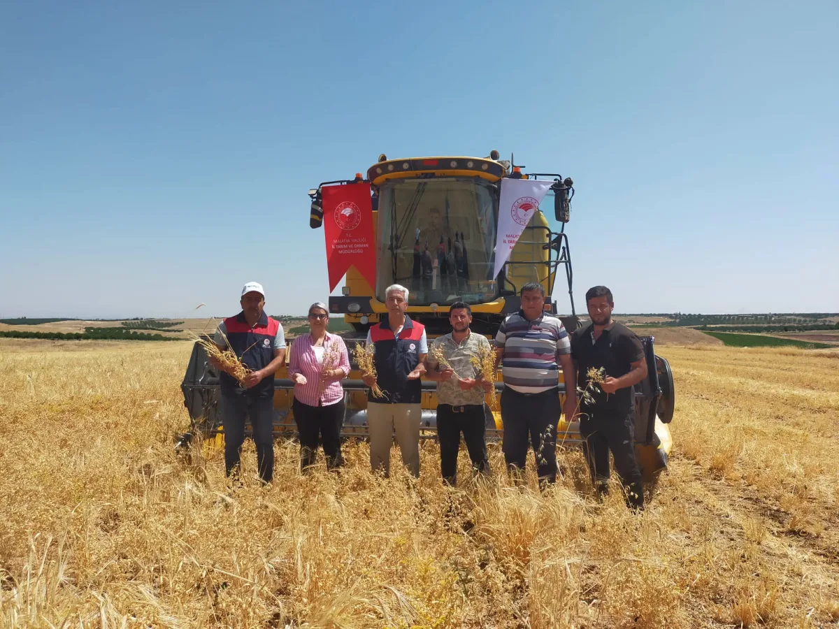 TAKE Projesi Meyvelerini Verdi: Yeşilyurt'ta Nohut Hasadı Başladı