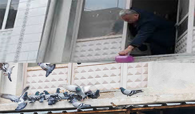 65 Yaşındaki Esnaf Demirci Güvercinlere “Ramazan Sofrası” Kuruyor