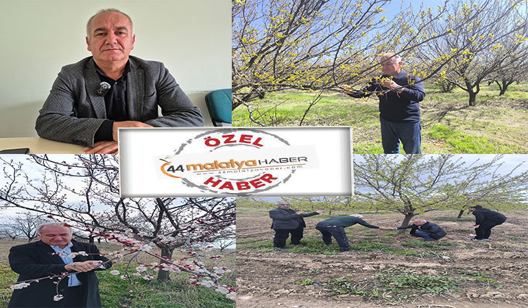 Başkan Çiçek’ten 44 Malatya Haber’e Kayısı İçin Kritik Uyarılar