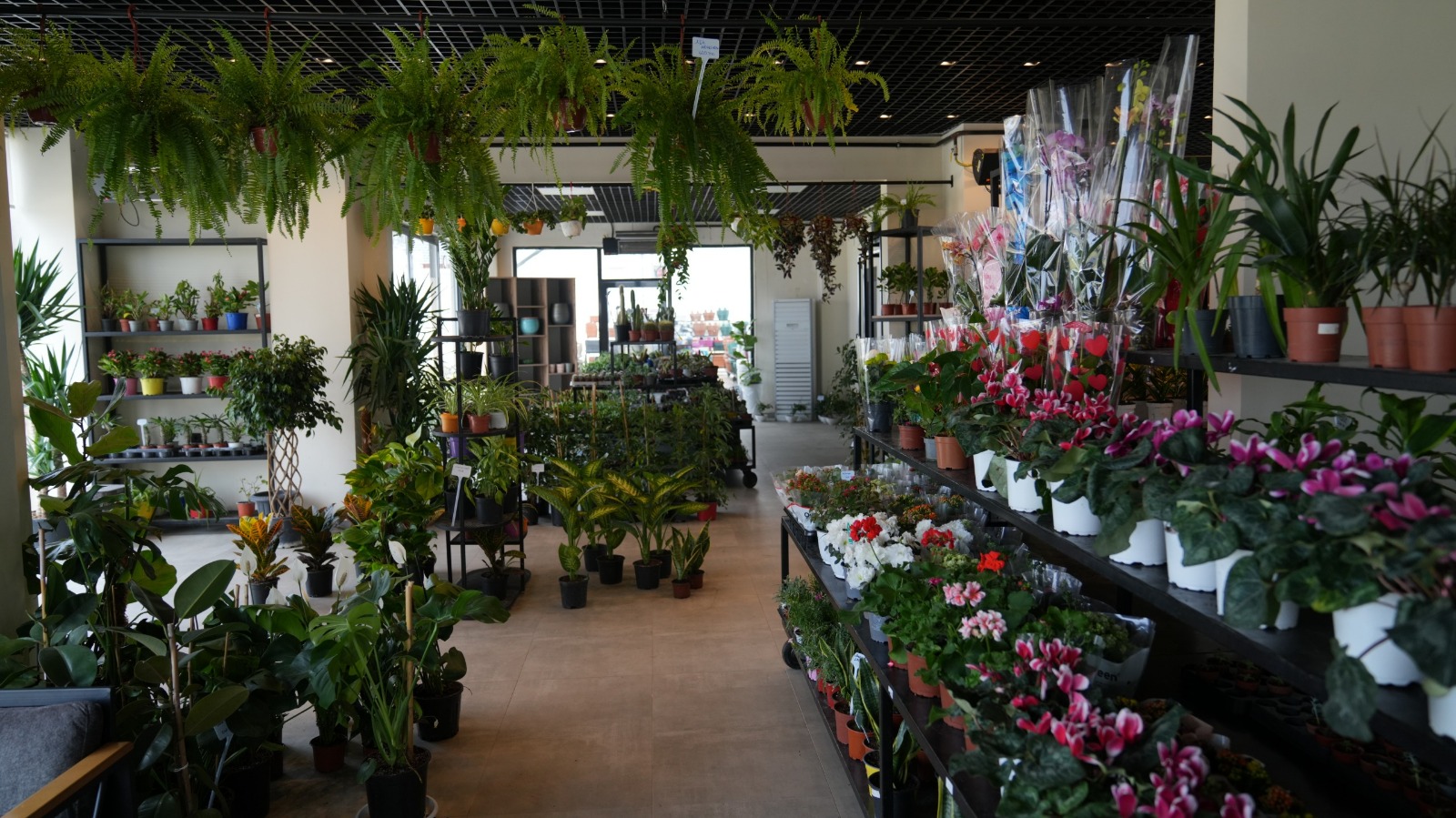 Battalgazi’de Yeşil Alanlarda Kapsamlı Çalışma