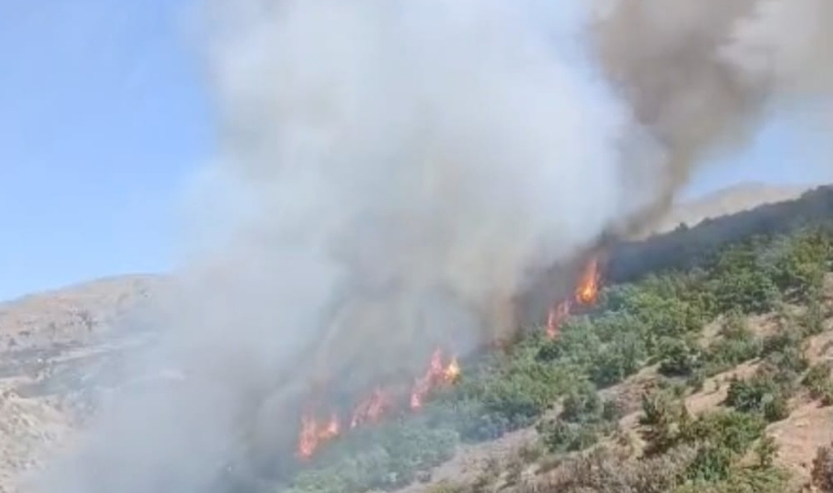 Doğanyol’daki Orman Yangını Söndürüldü