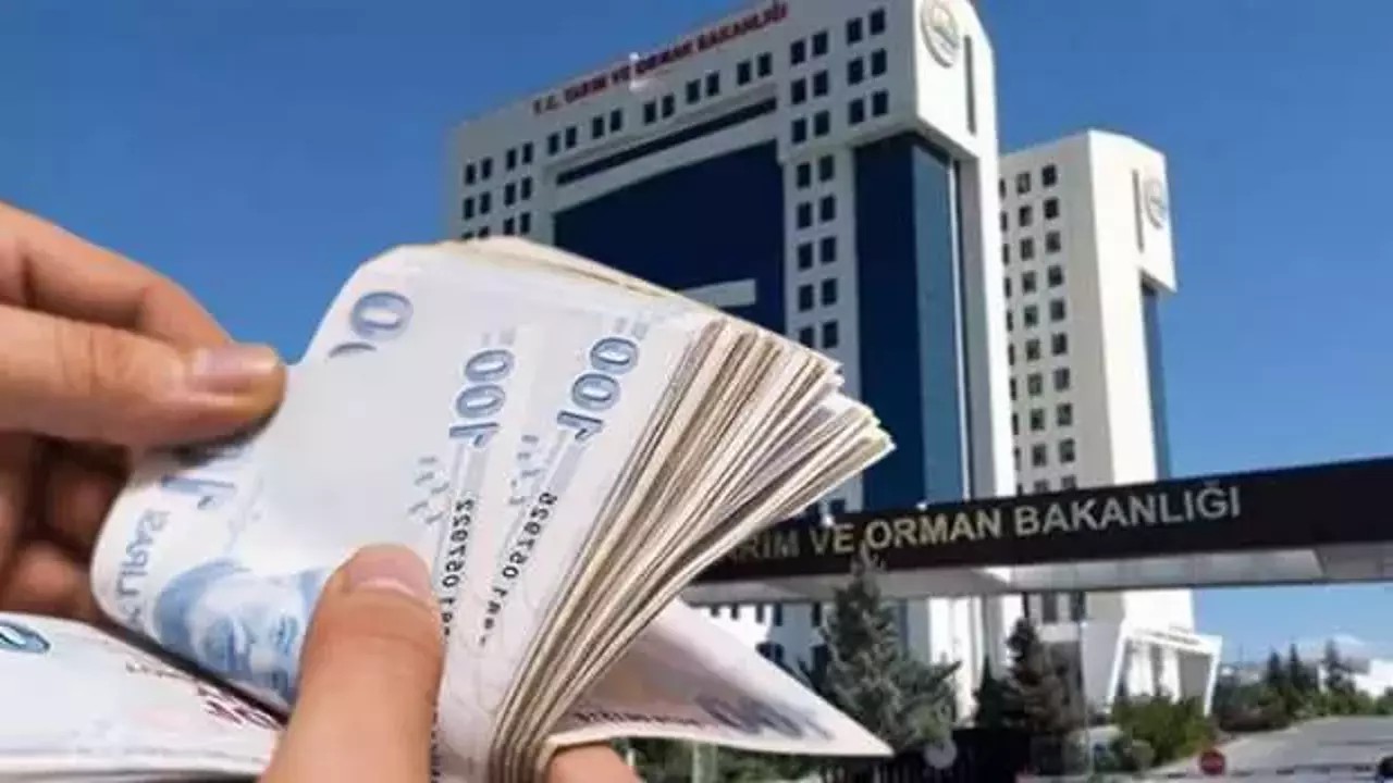 Don Zararına 23 Milyar TL’lik Destek: ÇKS’siz Üreticilere de Kapı Açıldı