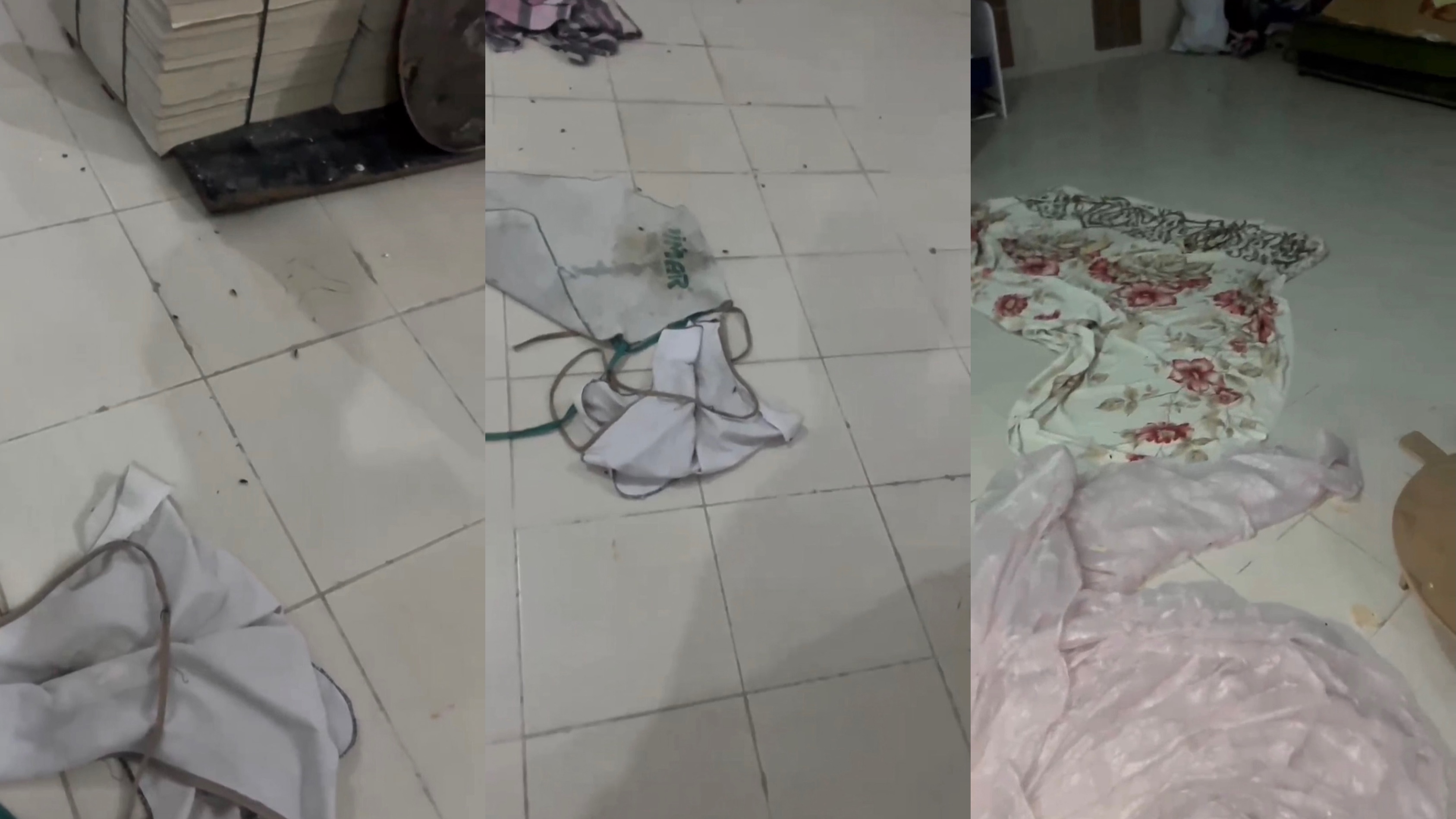 Fırında Şoke Eden İddia: Vatandaş Böcek Görüntüledi