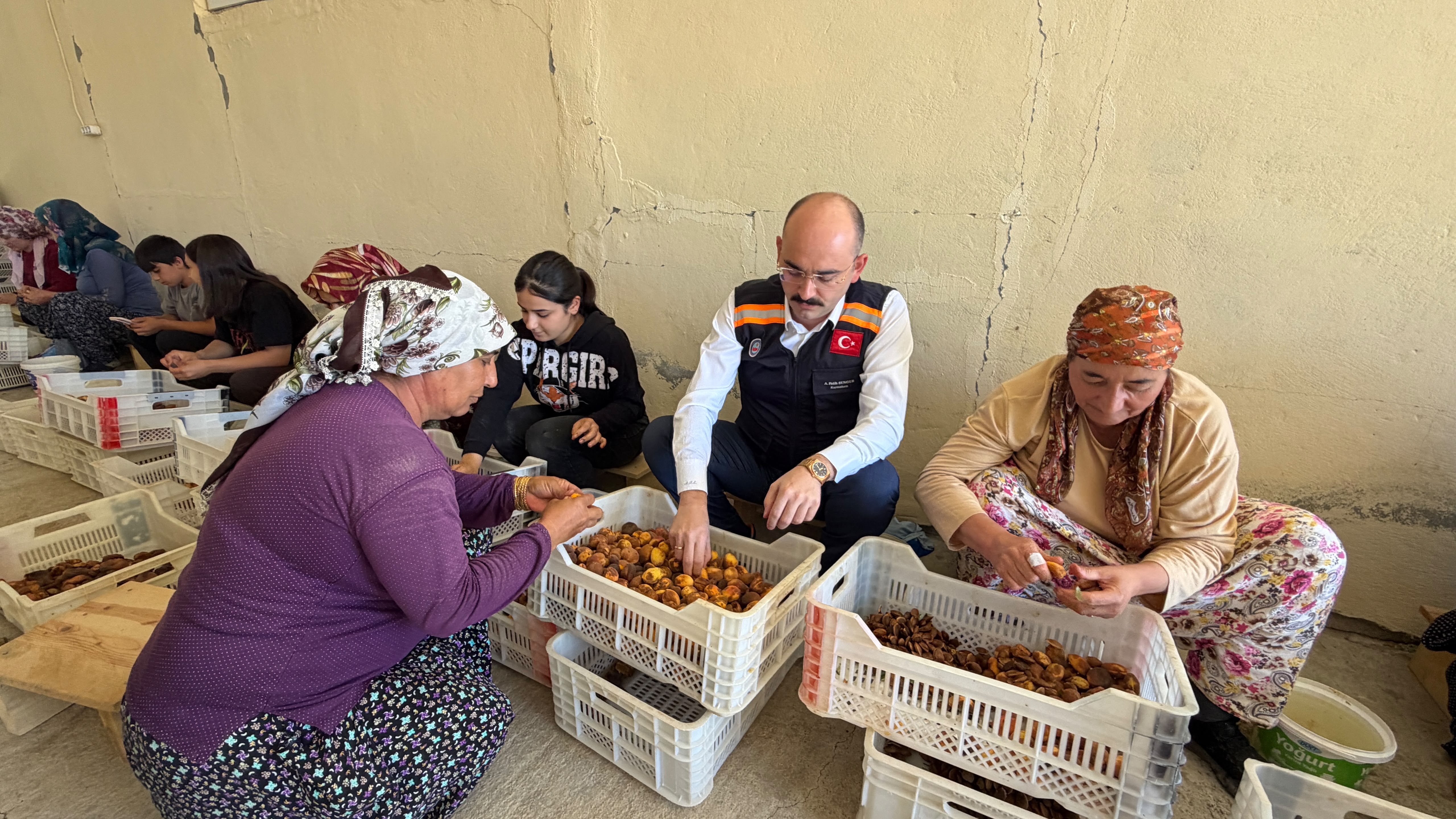 Kaymakam Sungur’dan Kayısı Üreticilerine Hasat Ziyareti