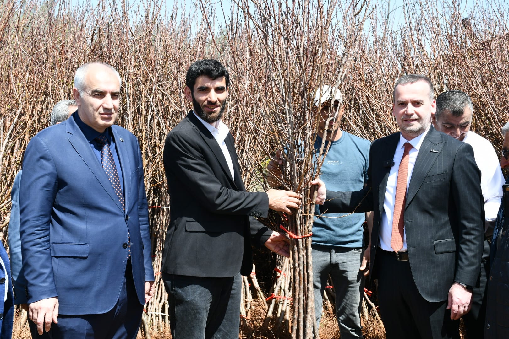 Malatya’da Tarıma Büyük Destek: 15 Bin Fidan Muhtarlar Aracılığıyla Dağıtılıyor