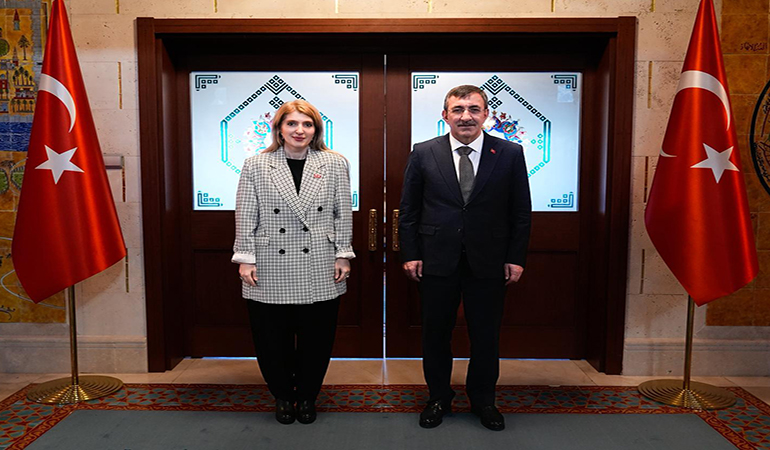 Ölmeztoprak’tan, Cumhurbaşkanı Yardımcısı Yılmaz İle “Malatya” Görüşmesi