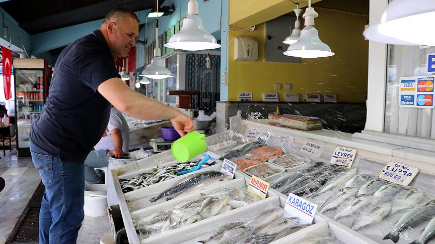 Su Ürünlerinde Rekor Artış! İhracatın Birim Fiyatı %20,4 Yükseldi