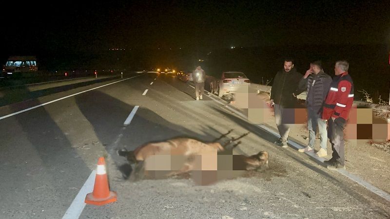 Sultansuyu’nda İhmal Zinciri: Müdür ve 2 İşçi Gitti