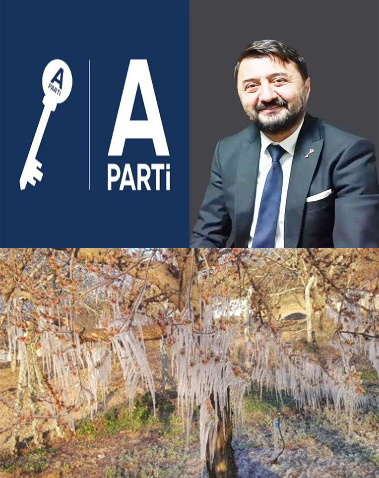 Zelyurt’dan Don Tepkisi: Kayısı Üreticisi Sahipsiz Mi?