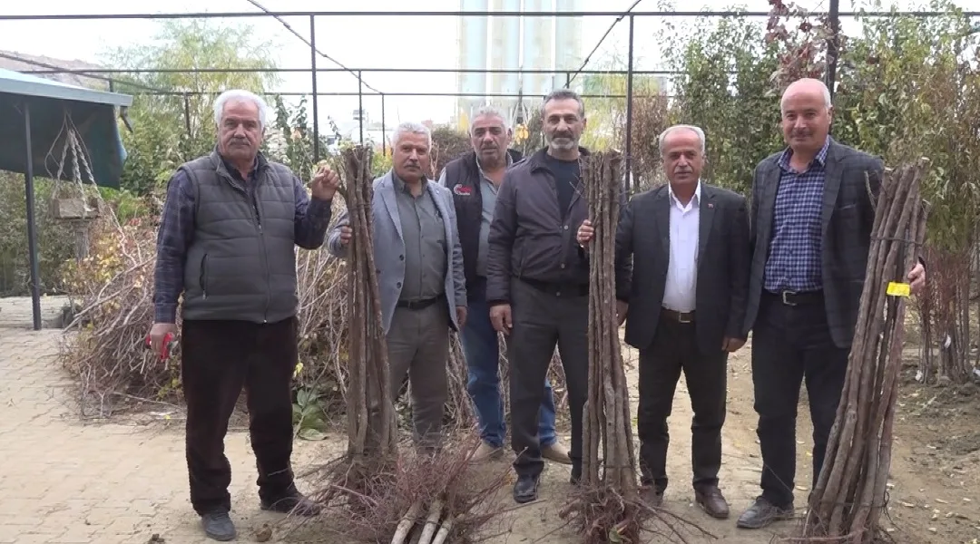 Malatya’da Meyve Fidanı Satış Sezonu Açıldı