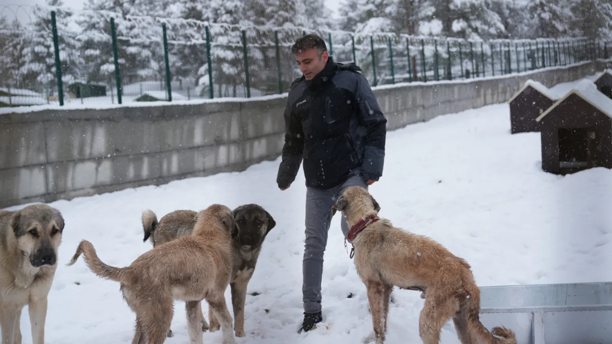 Battalgazi’de Malatya’nın İkinci Hayvan Barınağı Hizmete Başladı
