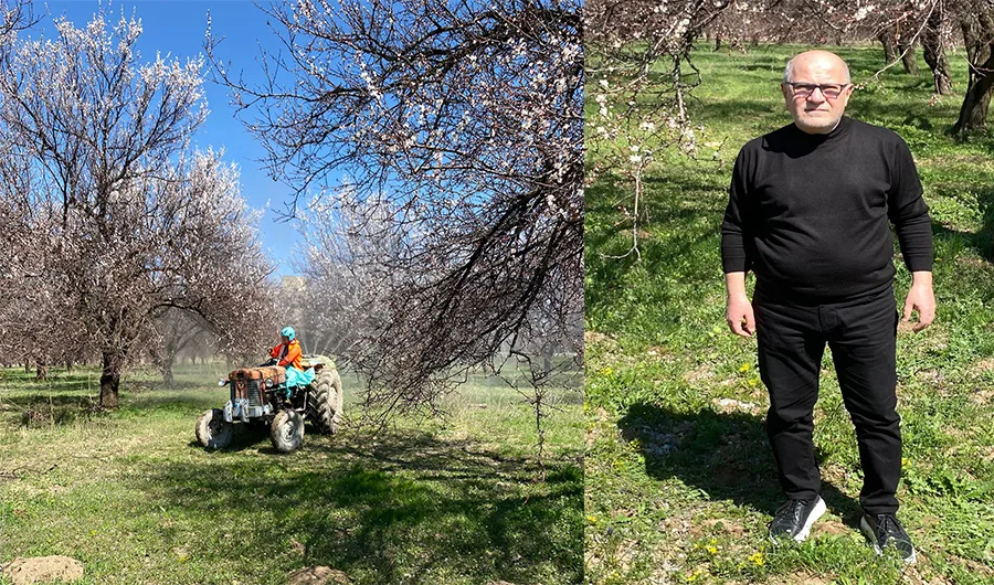 İlçe Başkanı Yağlıcı’dan Kayısı Üreticisine Tam Destek.