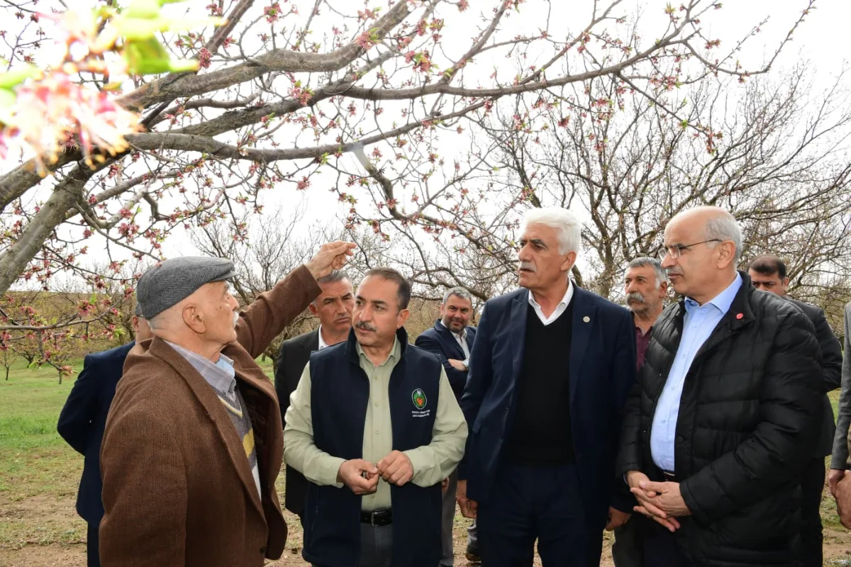 Başkan Er, Dolu Afetinden Zarar Gören İlçeleri Ziyaret Etti