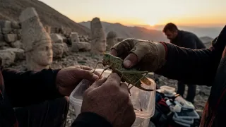 Nemrut’un Endemik Çekirgeleri İçin Türkiye’ye Geldiler: Gerçek Ortaya Çıktı