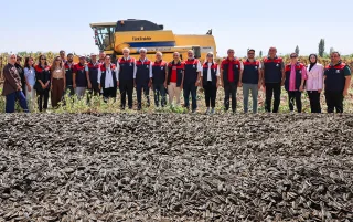 Yazıhan’da Ayçiçeği Tarlalarında Hasat Sevinci