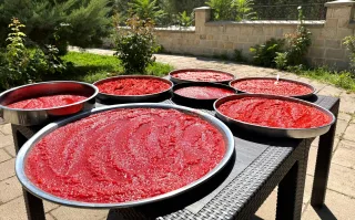 Darende’de Yaz Lezzetleri Kış İçin Özenle Hazırlanıyor